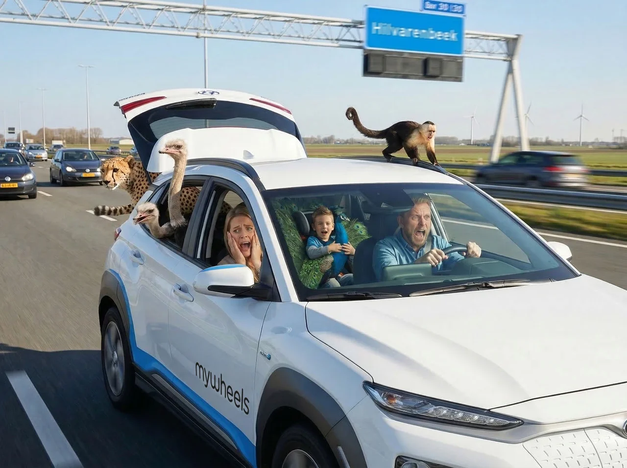 MyWheels auto op safari